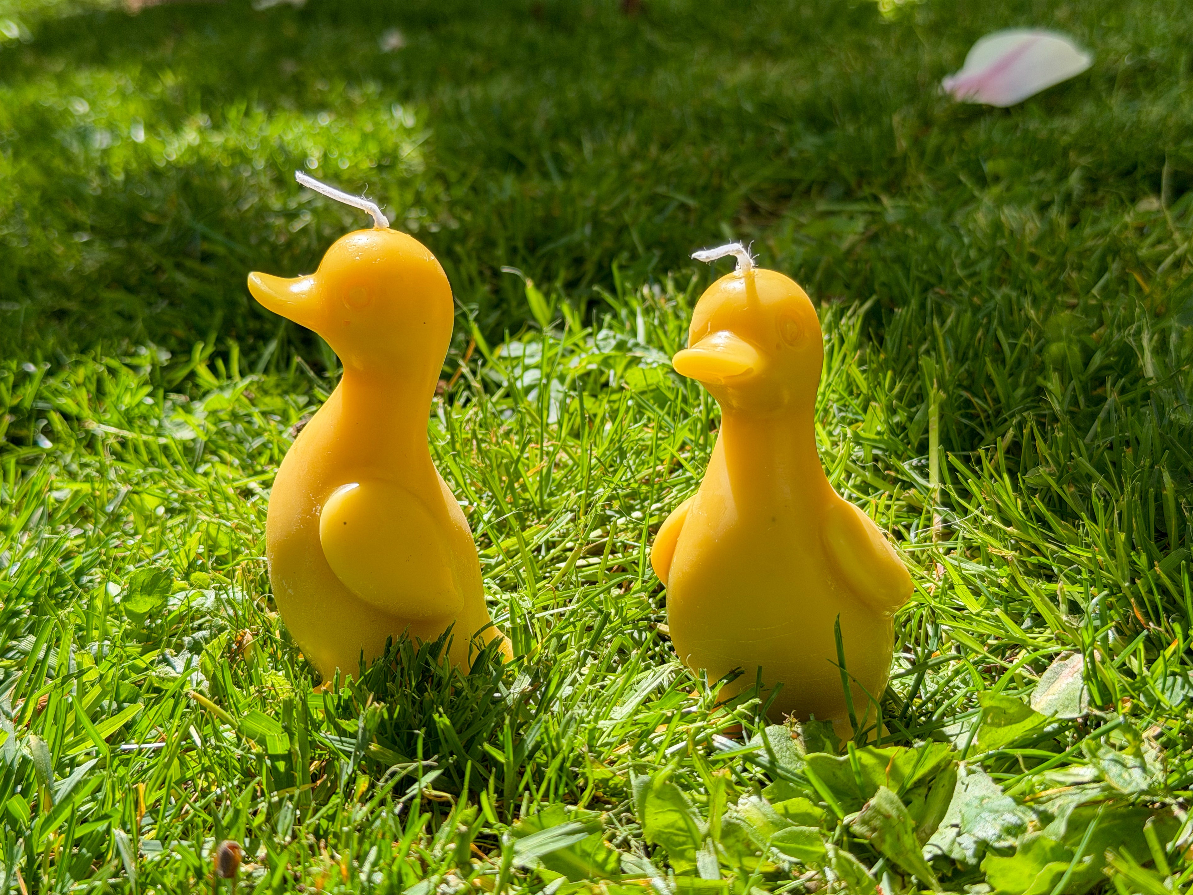 Bienenwachskerze „Ente“