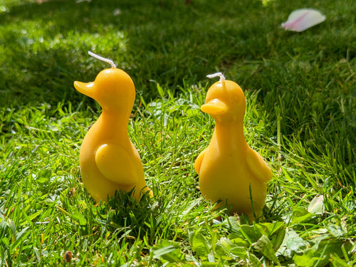 Bienenwachskerze „Ente“