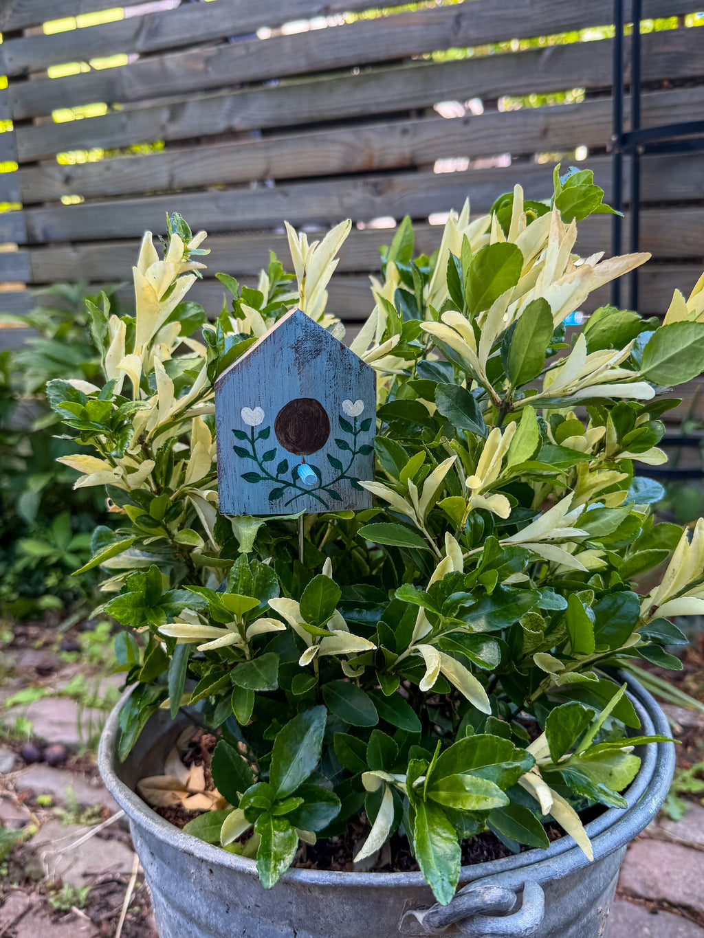 Vogelhausstecker für Garten und Blumentopf aus Holz alter Weinfässer