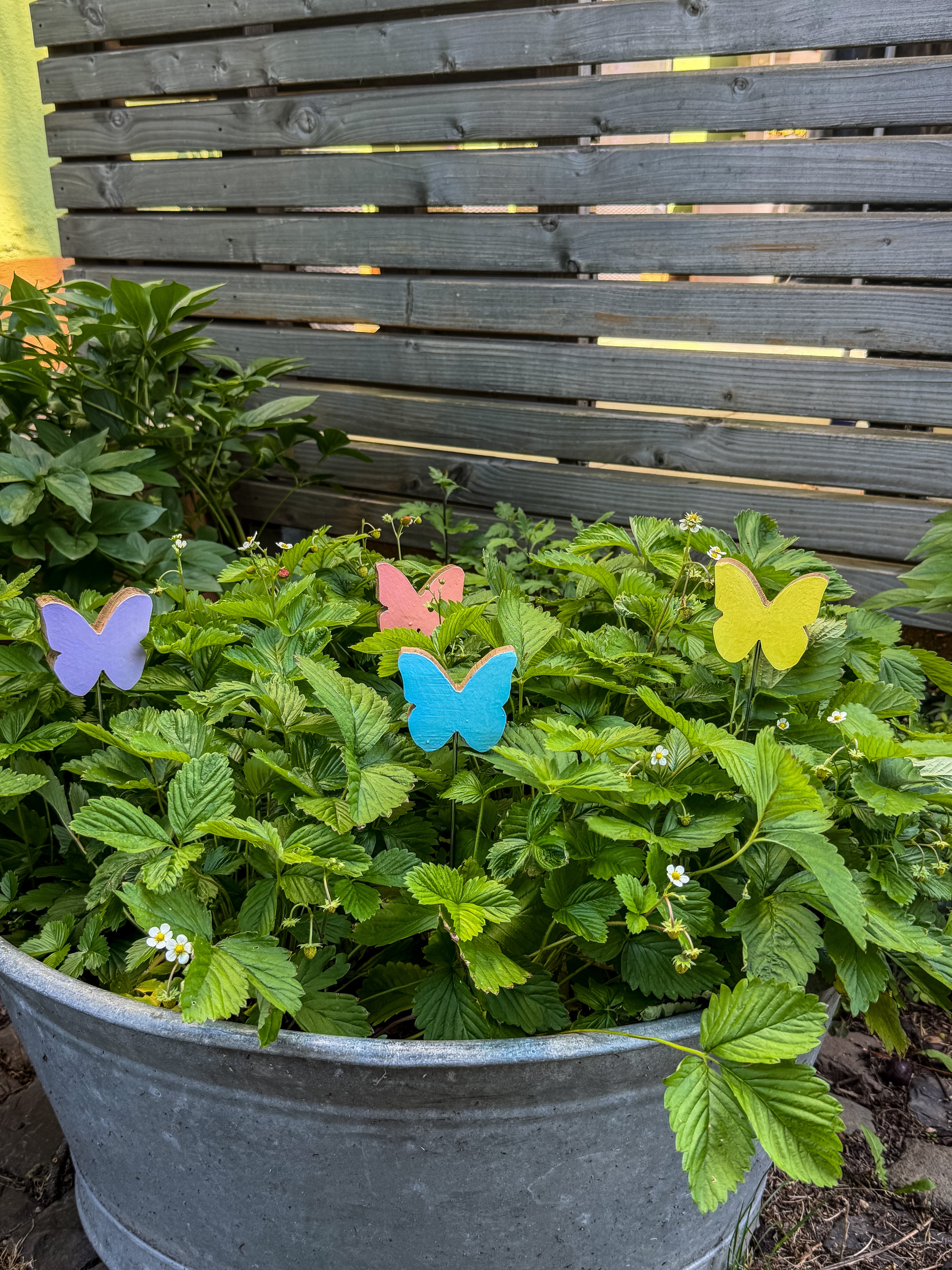 Bunte Schmetterlinge für Garten und Blumentopf aus Holz alter Weinfässer